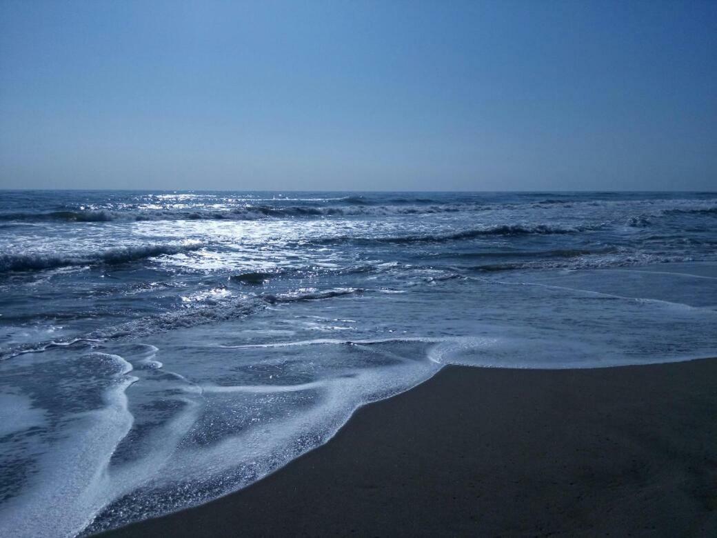 Terrasses De La Mediterranee 플뢰리 외부 사진